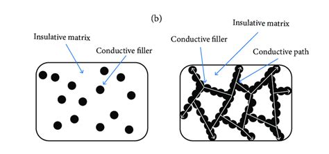 Filler Distribution In Polymer Composite A At Low Content B