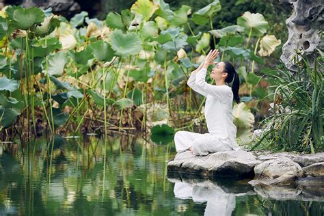 Female Park Outdoor Yoga Picture And HD Photos | Free Download On Lovepik