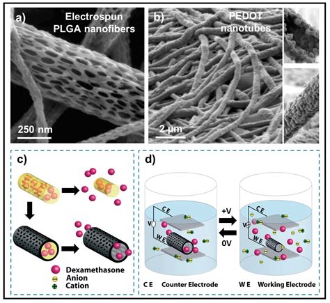 Polymers Free Full Text Nanomembranes And Nanofibers From