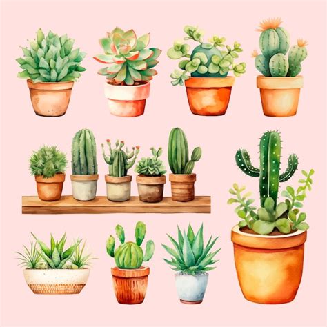 Watercolor Potted Succulent Cacti Vector Premium Ai Generated Vector