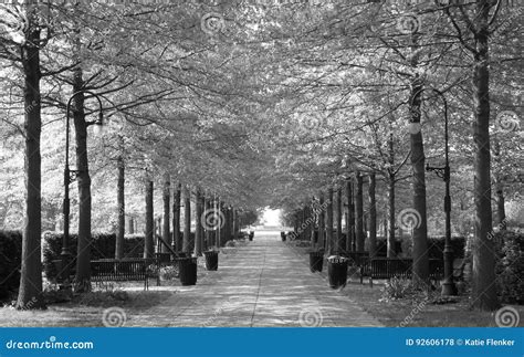 Stroll Down Memory Lane Stock Photo Image Of White Davenport 92606178