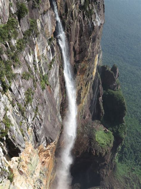 Angel Falls La Plus Haute Cascade Du Monde Venezuela Image Stock