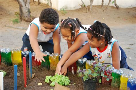 Blog Do Professor Valnir Passos Para Iniciar Uma Horta Escolar