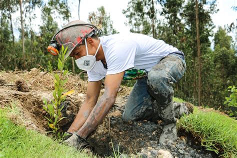 El Medioambiente Y La Miner A Responsable Arm