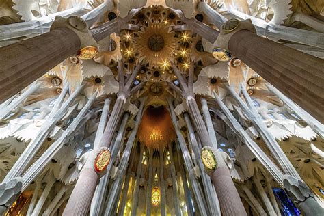 Sagrada Familia Ceiling Photograph By Shirley Mitchell Pixels