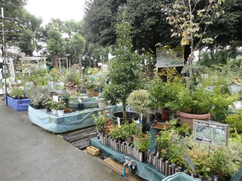 連休中は家族で植木を植えよう！ ガーデン倶楽部ブログ