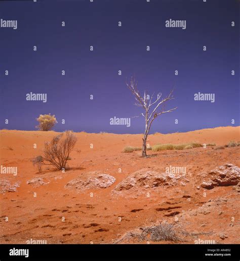 Outback Australia Stock Photo Alamy