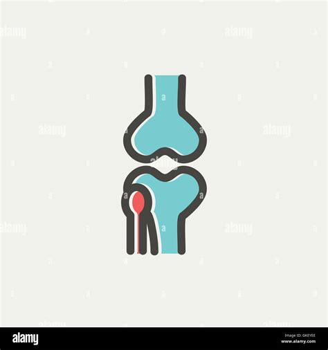 Illustration Human Knee Joint Anatomy Stock Vector Images Alamy