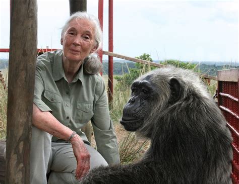 A Conversation With Jane Goodall | WAMU