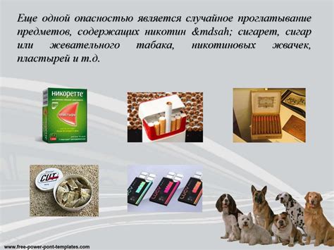 Влияние никотина на организм животных - online presentation