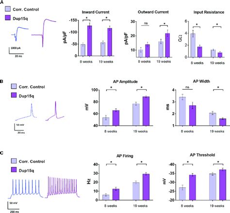 Cellular Phenotypes Of Idic Dup Q Neurons Compared With Isogenic