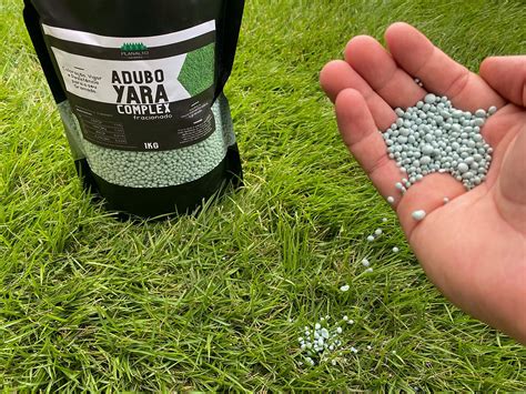 Qual O Melhor Adubo Para Grama - Guia Prático: Como Adubar Grama Esmeralda e Catarina