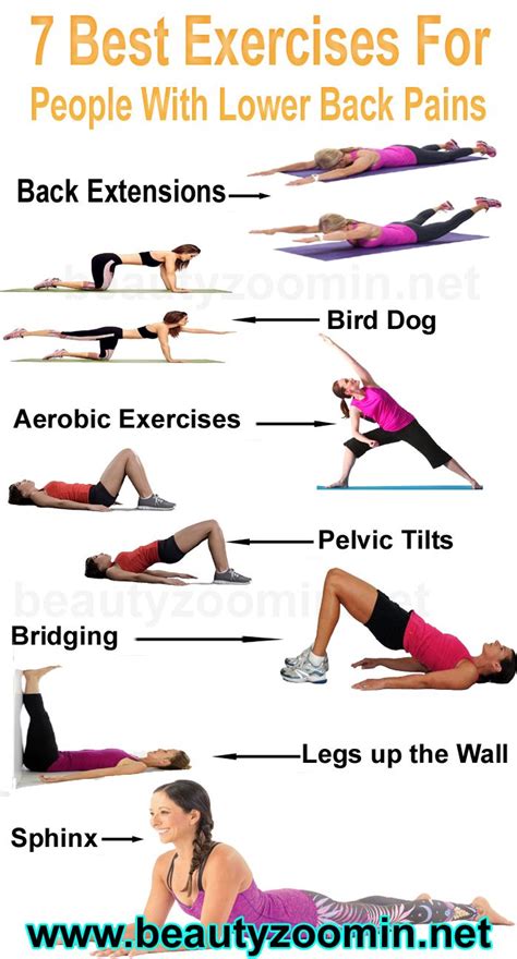 7 Best Exercises For People With Lower Back Pains Artofit