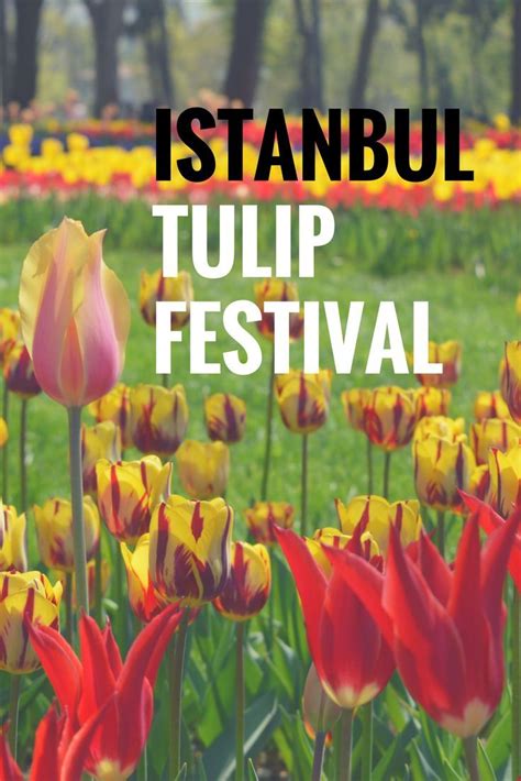 Istanbul Tulip Festival In Emirgan Park Tulip Festival Europe Travel