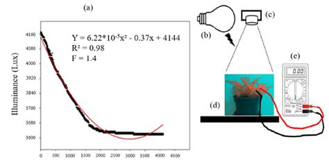 Behavior of the luminous intensity density (a) measured at the ...