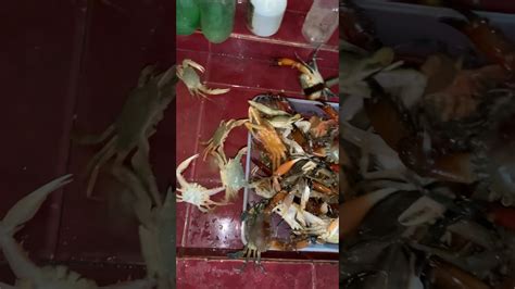 Pasmo Ta Ani Kay Makig Away Paman Atung Sud An Small Crabs Crabs