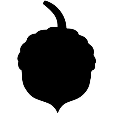 Acorn Graphic Silhouette PNG And Vector Images Free Download - Pngtree