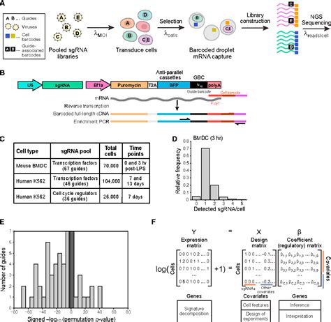 Figure From Perturb Seq Dissecting Molecular Circuits With Scalable