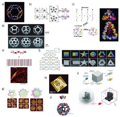 Static Dna Nanostructures A Dna Truncated Octahedron Assembled By