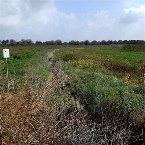 Confagricoltura Puglia Bonifiche Una Situazione Drammatica Terra E Vita