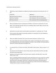 BIO 110 Cells Docx Cell Structure Laboratory Exercise 1 2 Identify