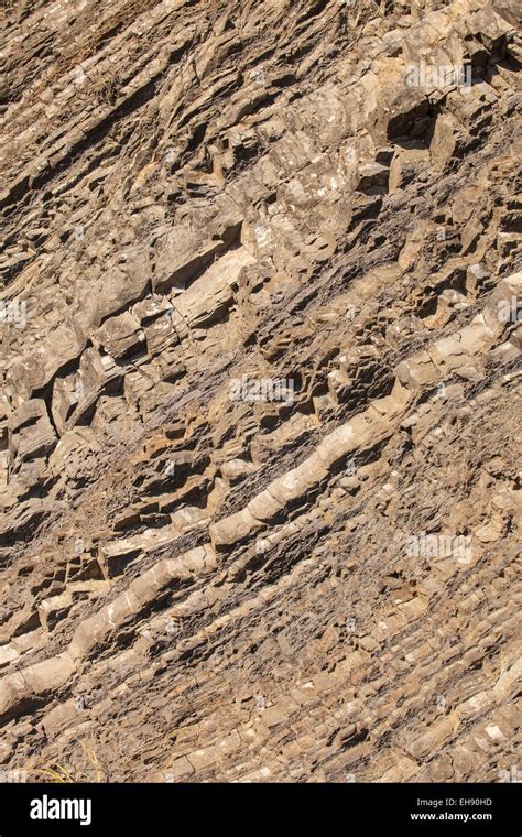 Folded Sedimentary Rock Devil S Slide Coastal Trail Near Half Moon