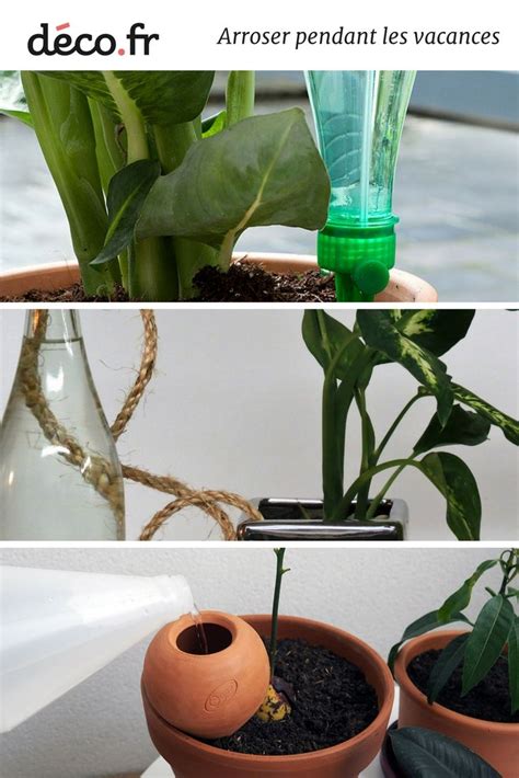 Trucs Et Astuces Pour Arroser Ses Plantes Pendant Les Vacances Artofit