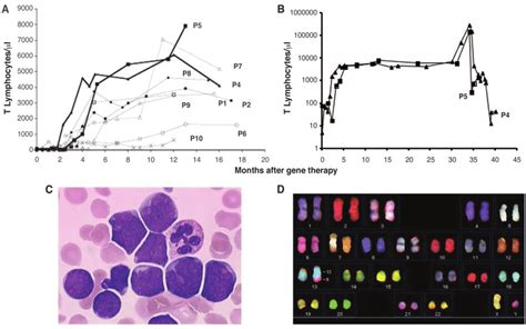 Kinetics And Characteristics Of P And P Abnormal T Cells A