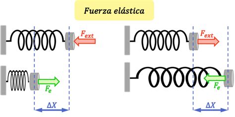 Tipos de Fuerza física