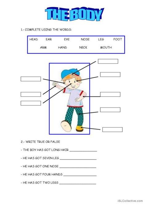 1 025 Body Parts English ESL Worksheets Pdf Doc