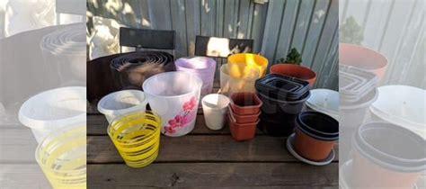 Горшки для цветов купить в Краснодаре | Товары для дома и дачи | Авито