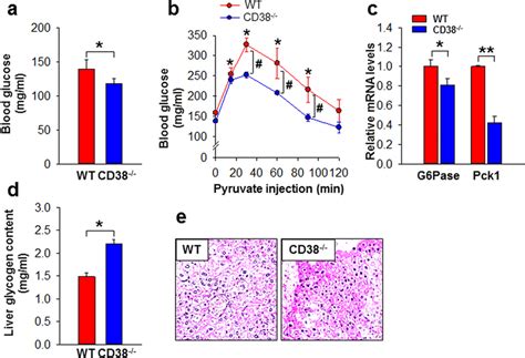 Cd Deficiency Decreases Blood Glucose And Hepatic G Pase And Pck A