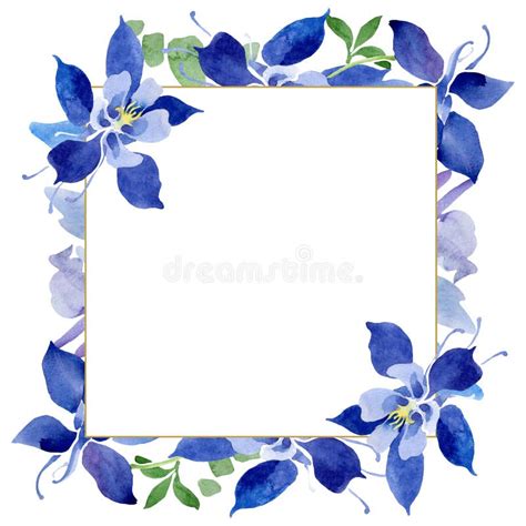 Fleurs Botaniques Florales D Ancolie Bleue Ensemble D Illustration De