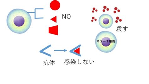 5分で分かるプチ科学06｜mbainternship