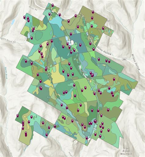 Forest Gis Nova Ferramenta Do Arcgis Pro Simplifica A Tarefa De