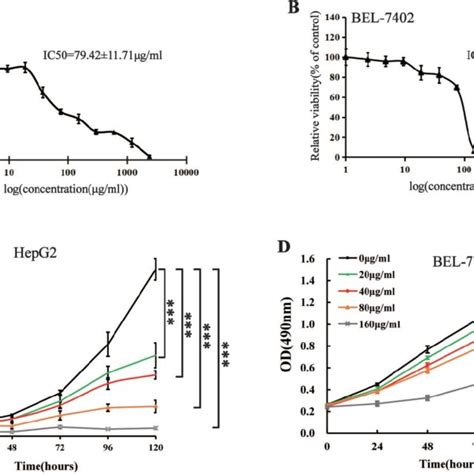 Maytenus Compound Inhibits The Proliferation Of HCC Cells In Vitro