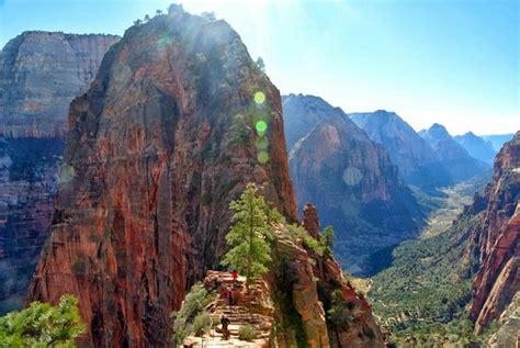 This Is Worth The Hike Angels Landing Zion National Park Traveller