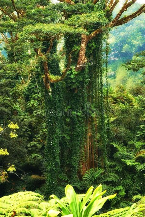 Le Jeton D Arborescence D Un Type Plante Universelle De L Arbre Sous