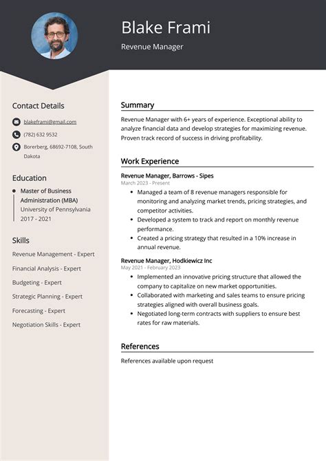 Revenue Manager CV Examples Template 20 Tips