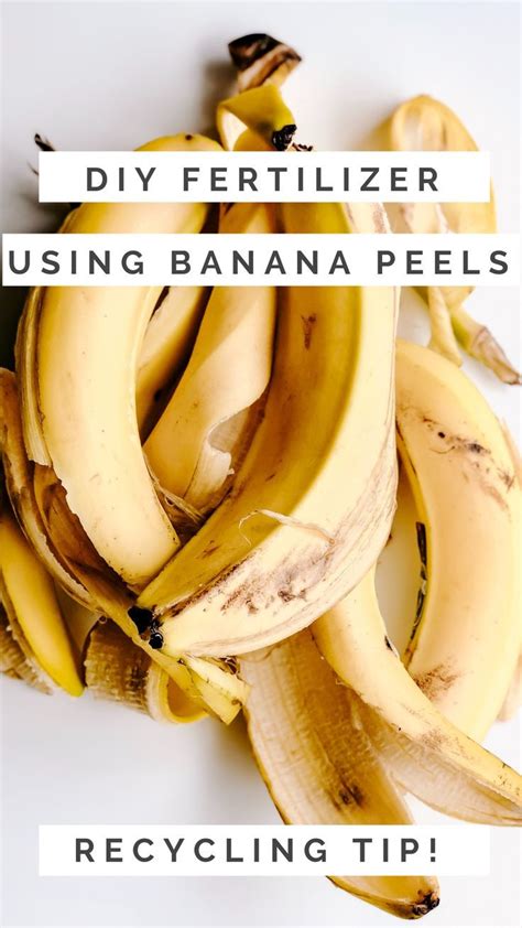 Diy Banana Peel Fertilizer