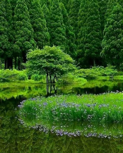 Peaceful🌍📷 On Instagram Naturephotography Naturelovers Nature