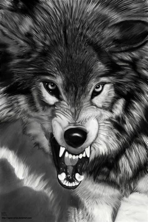 Angry Black Wolf Drawing Black Wolf By Therisingsoul On Deviantart ...