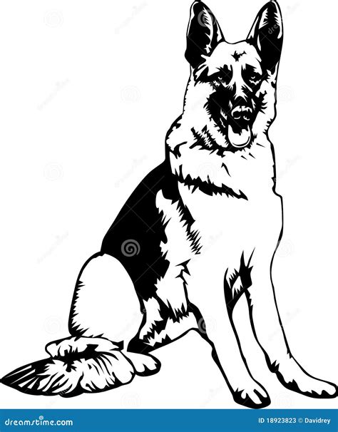 German Shepherd Silhouette Vector Illustration | CartoonDealer.com #202391422