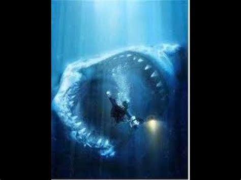 Sigue Vivo El Megalodon Youtube