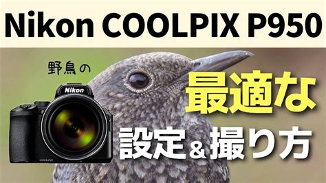 保存版COOLPIX P950完全攻略野鳥はこれで間違いない YouTube