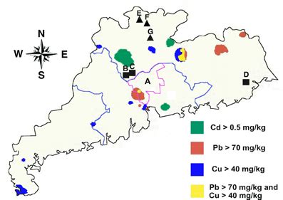 Frontiers Heavy Metal Pollution In Guangdong Province China And The