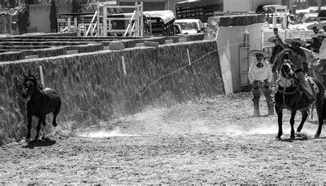 charros kuda kavaleri foto gratis  pixabay pixabay