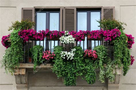 Garden On The Balcony Stock Photo Vicspacewalker