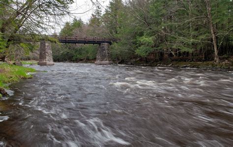 Eau Claire River Trail Photo, Wisconsin Trail Guide