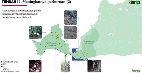 Badak Jawa Di Ujung Kulon Terancam Punah Auriga Nusantara Sebut Adanya